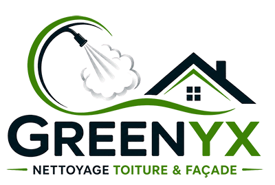 GreenYX, Nettoyage vapeur basse pression professionnel